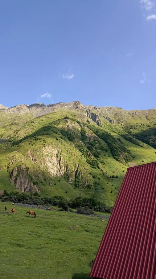 Mountain Flower Cottage Kazbegi Exterior photo