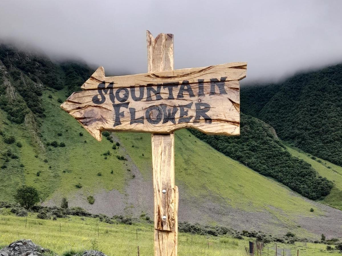 Mountain Flower Cottage Kazbegi Exterior photo