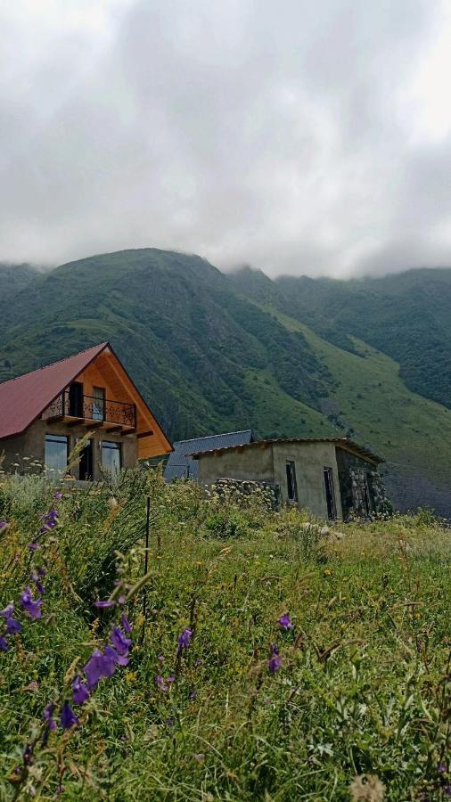 Mountain Flower Cottage Kazbegi Exterior photo